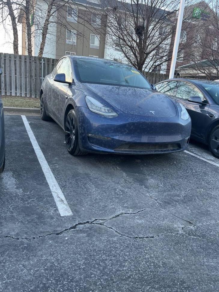 TESLA MODEL Y 2022 7SAYGDEE5NF480154 image